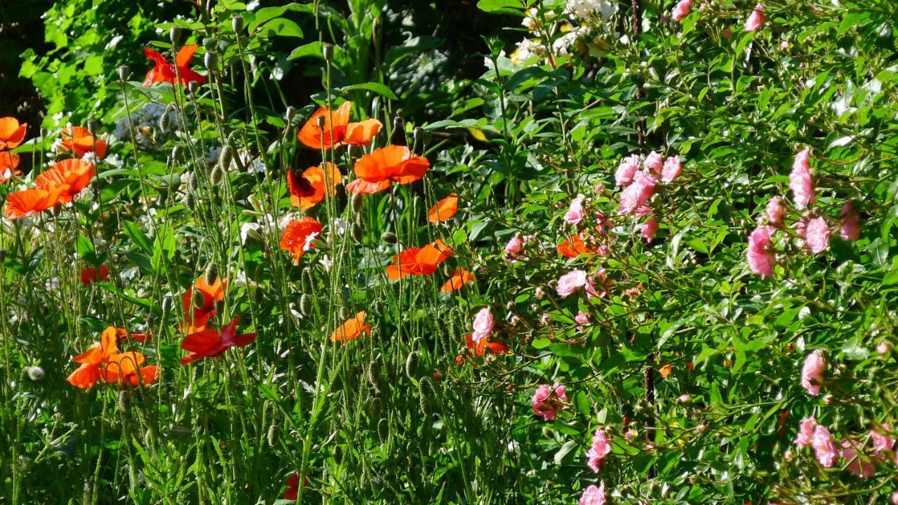 Le Petit Potager Bed & Breakfast Montbel  Exterior foto